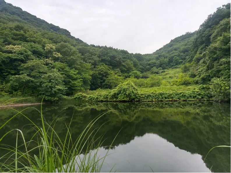 芋づくりを強制する亡国政治を止めよう